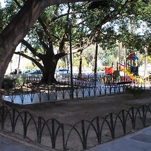 Fan Rooms Gálvez